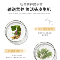 灵草集 防脱育发液 100ml/瓶 三盒装+500ml防脱洗发露