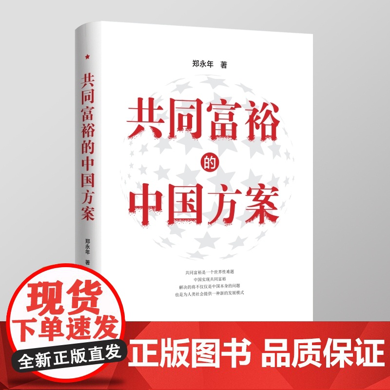 共同富裕的中国方案 郑永年著 经济书籍中国经济中国经济史 浙江人民出版社 正版书籍高清大图