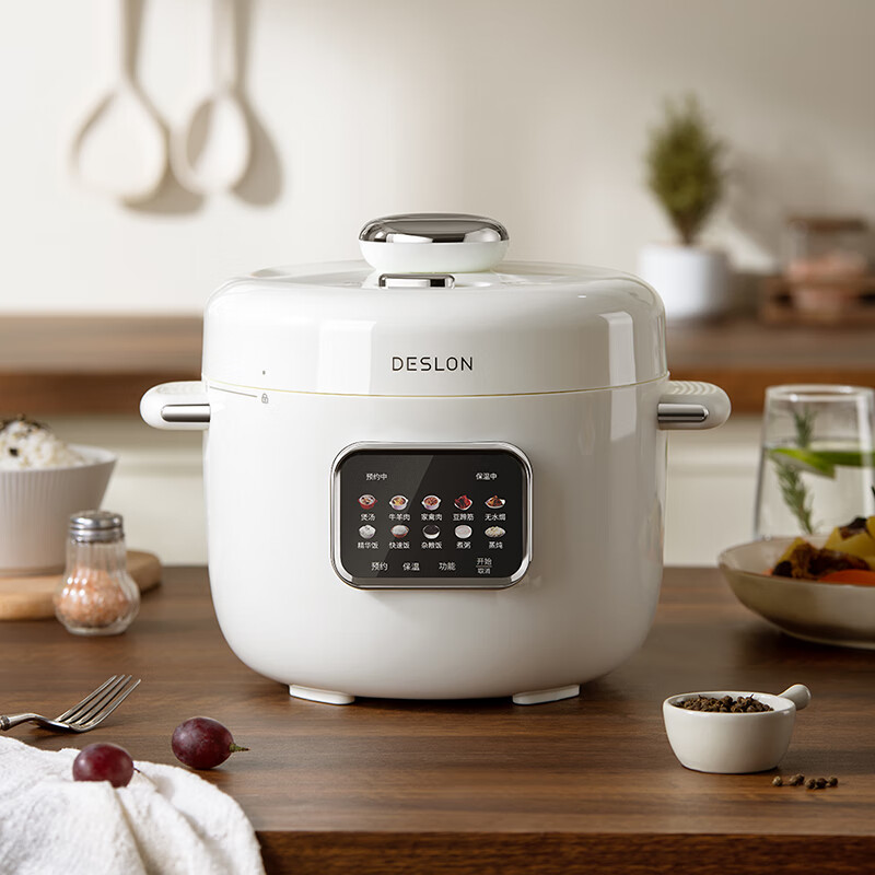 德世朗电压力锅DDQ-FB513白色3L