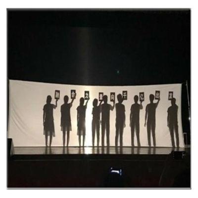 白布2米高X3米长 白布皮影戏影子舞台投影幕布人影手影手电筒秀表演摄影背景灯光布