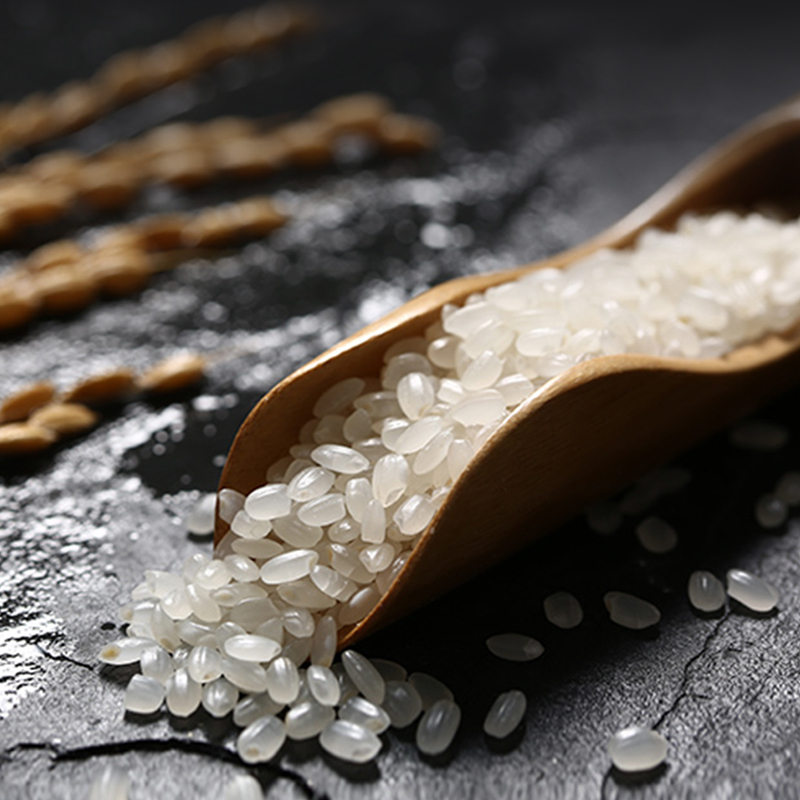 金健国产大米 晚稻米籼米东北粳米粘米食用米 东北贡米 5kg