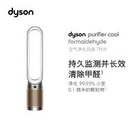 [预售]戴森(DYSON) TP09 除菌除甲醛空气净化风扇 整屋循环净化 兼具空气净化器功能 落地风扇 电风扇 白金色