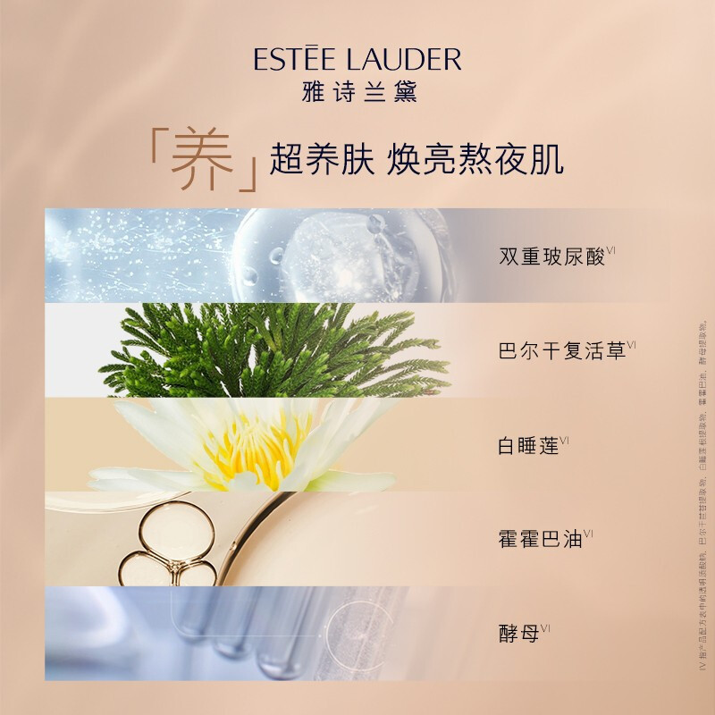雅诗兰黛 新沁水粉底液 61 SPF20/PA+++ 30mL适合白皙肤色 干皮救星 秋冬保湿滋润防晒遮瑕 轻薄透亮