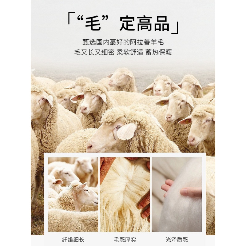 天丝羊毛打底衫女春秋冬季圆领羊毛衫长袖上衣外穿薄款内搭毛衣女高清大图