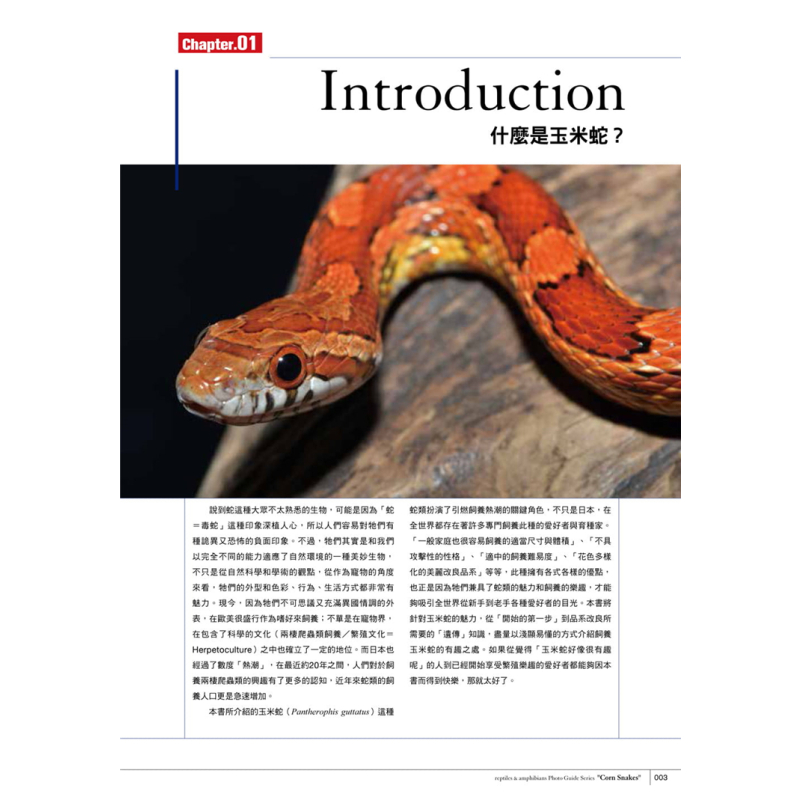 [正版] 原版进口图书 《玉米蛇超图鉴简单了解玉米蛇的饲养要诀》东贩