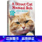 一只名叫鲍勃的街头流浪猫 [正版]一只名叫鲍勃的街头流浪猫 英文原版小说 A Street Cat Named Bob