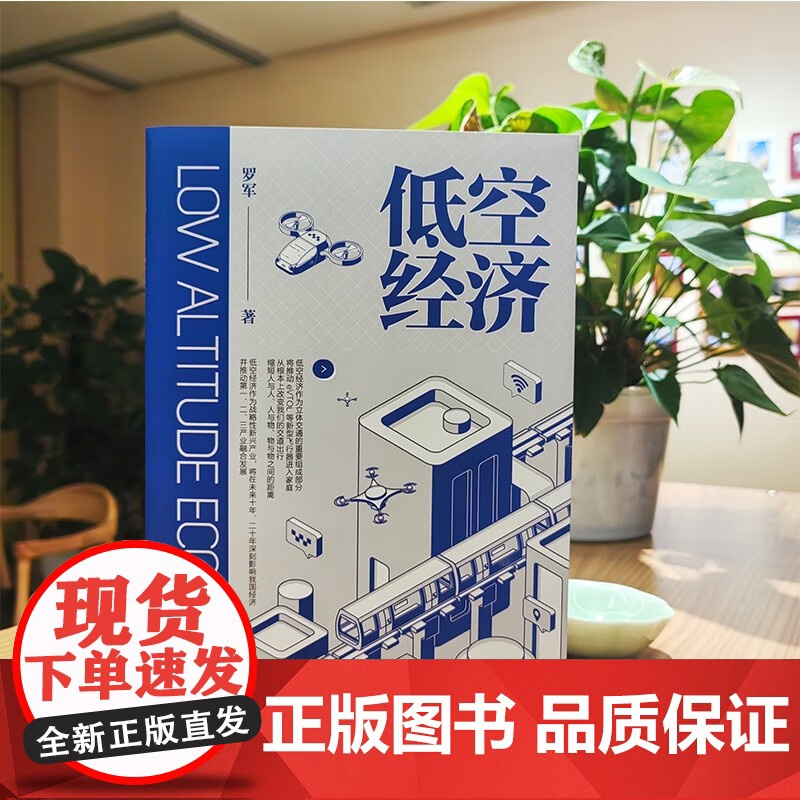 低空经济 罗军 著 经济高清大图
