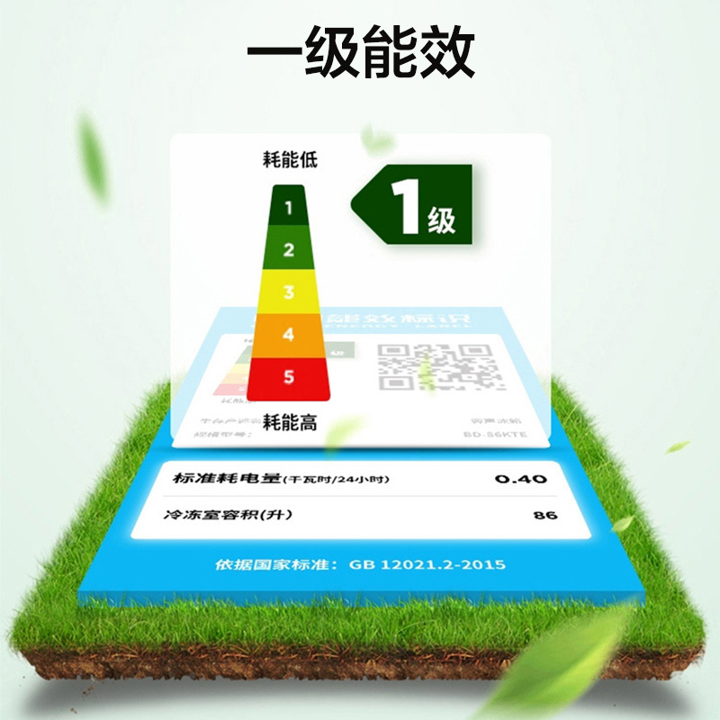 容声(Ronshen)86升冰柜冷柜 家用客厅小型迷你立式冷冻柜 母乳存储 分层抽屉 一级能效节能BD-86KTE