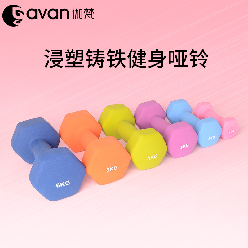 GAVAN伽梵哑铃健身男士家用器材练臂肌儿童小哑铃浸塑女士六角哑铃实心铸铁