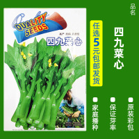 买3发6包四季蔬菜种子青菜香菜白菜生菜小葱黄瓜阳台盆栽香瓜冰糖 均码 B2-四九菜心约5.2克