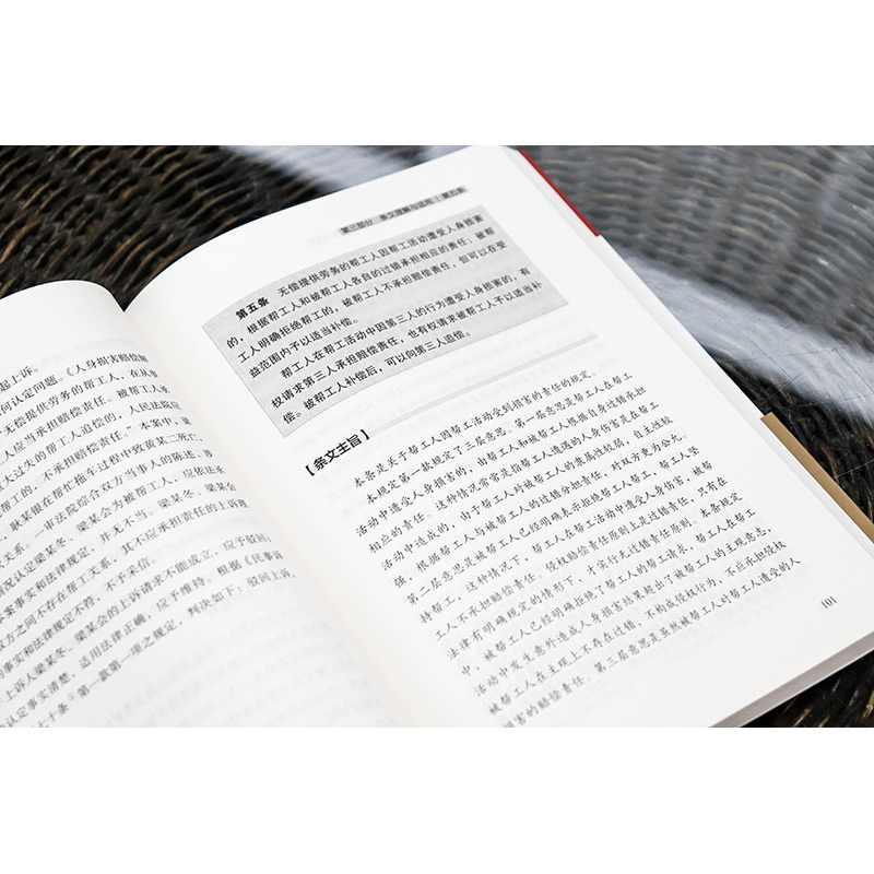 [正版]中法图 人民法院人身损害赔偿司法解释理解与适用 人民法院民事审判第一庭 人民法院 人身损害赔偿纠纷司法实务案例高清大图