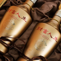 五粮液财富人生金钻(2瓶)500ml*2