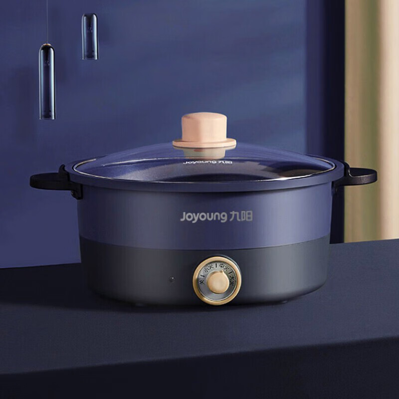 九阳 电炖锅 家用多功能 HG30-G632高清大图