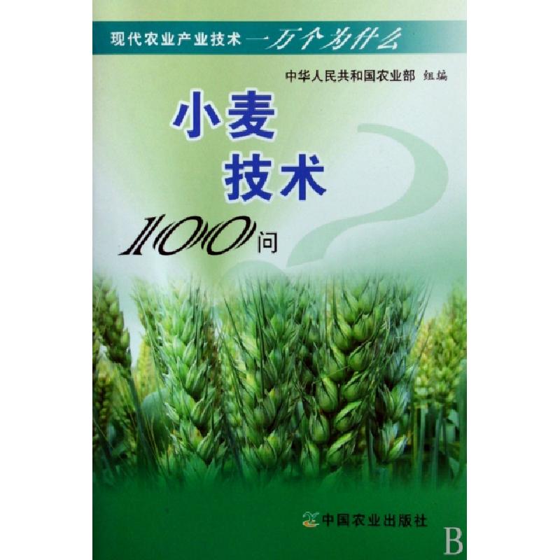 正版新书]小麦技术100问/现代农业产业技术一万个为什么肖世和97高清大图