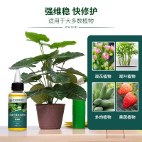 坤宁王植物生长活力素养花用的浓缩通用型营养液花卉多肉水溶肥料