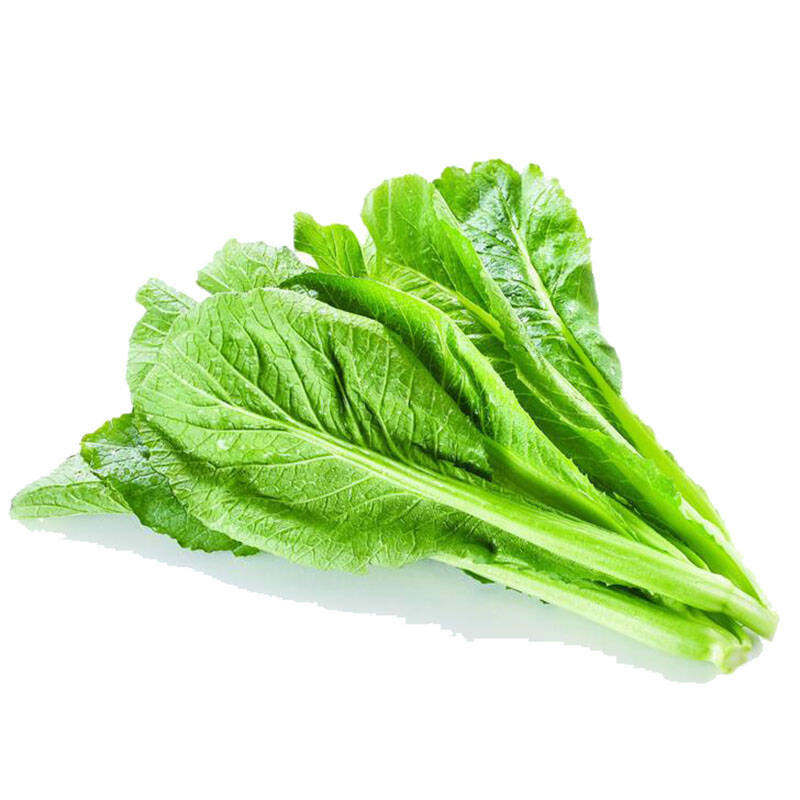 春菜500g新鲜蔬菜