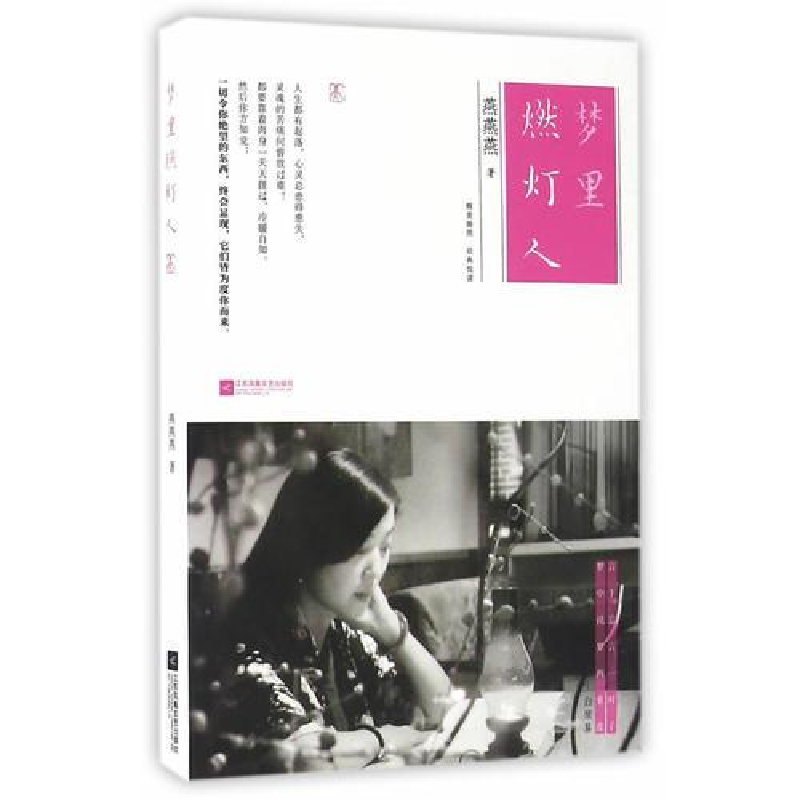 正版新书】梦里燃灯人燕燕燕著9787539995557