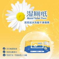 清风 湿厕纸 EDI纯水 清洁湿巾 擦除99.9%细菌 40片4包