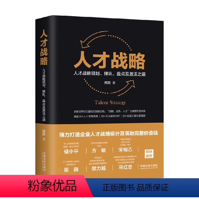 【正版】人才战略 人才战略规划 梯队 盘点及激活之道 何欣 著 管理