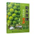 阳光玫瑰栽培技术宝典