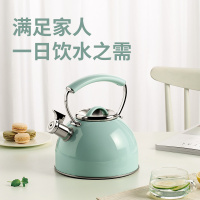炊大皇 ROYAL热水壶RY25BT