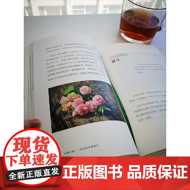 玫瑰之路:一朵花的丝路流传高清大图