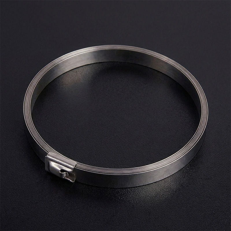 斯赞 304不锈钢扎带自锁式捆绑扎带 19*3000mm 根高清大图