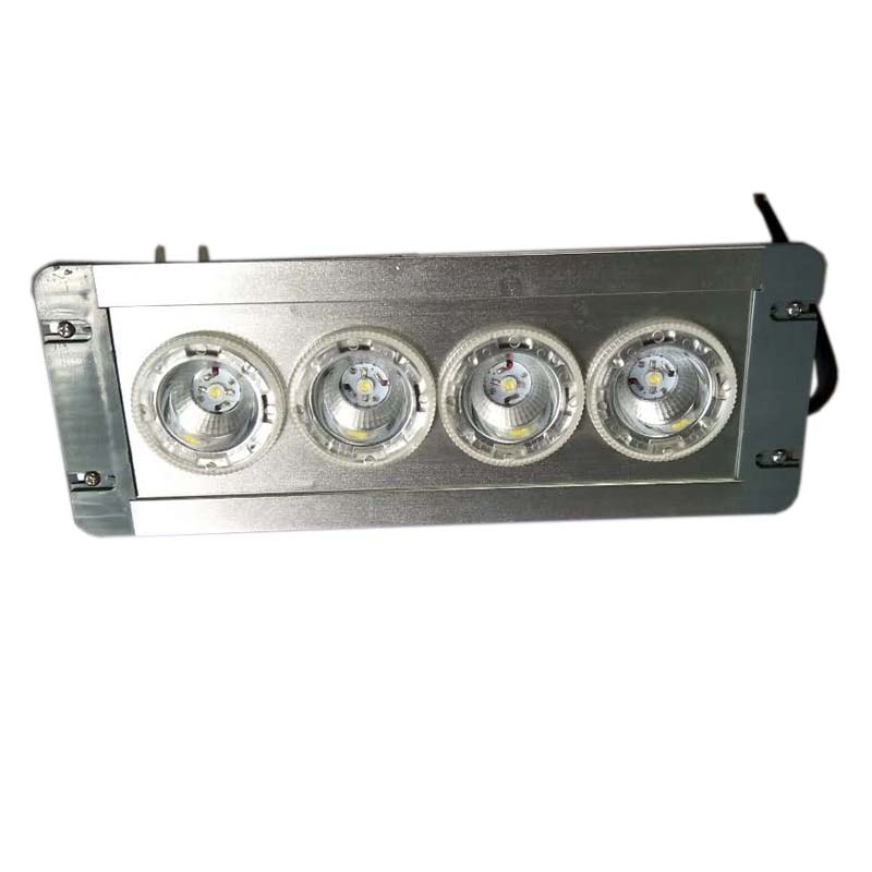 LHDQ 领航电器 LHF2121A-4×3W LED应急顶灯 冷白 IP65高清大图