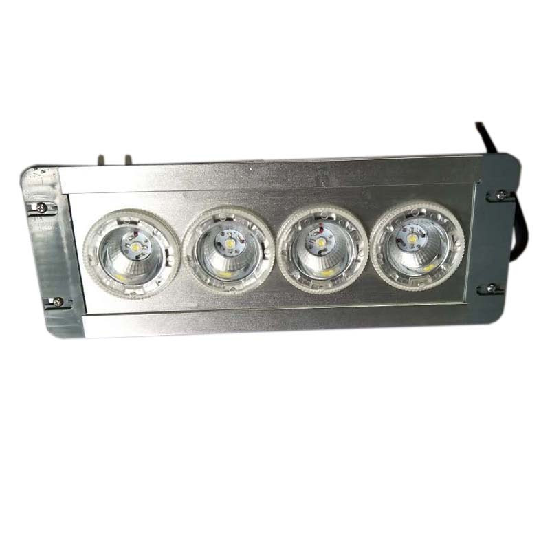 LHDQ 领航电器 LHF2121A-4×3W LED应急顶灯 冷白 IP65