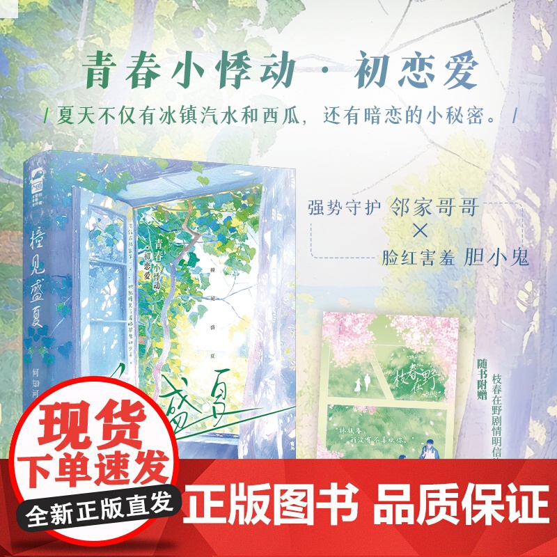 撞见盛夏高清大图