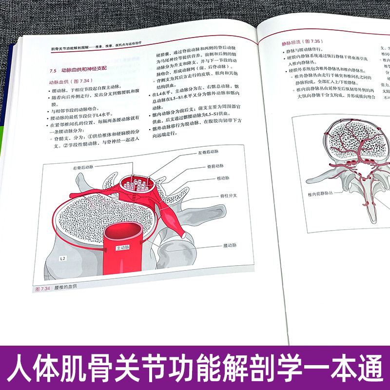 [正版]肌骨关节功能解剖图解 推拿、按摩、扳机点与运动 功能解剖学图谱书籍 筋膜健身书 9787533198251 山高清大图