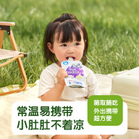 Little Freddie 小皮 酸奶10袋装 西梅+香蕉+苹果+樱桃+蓝莓