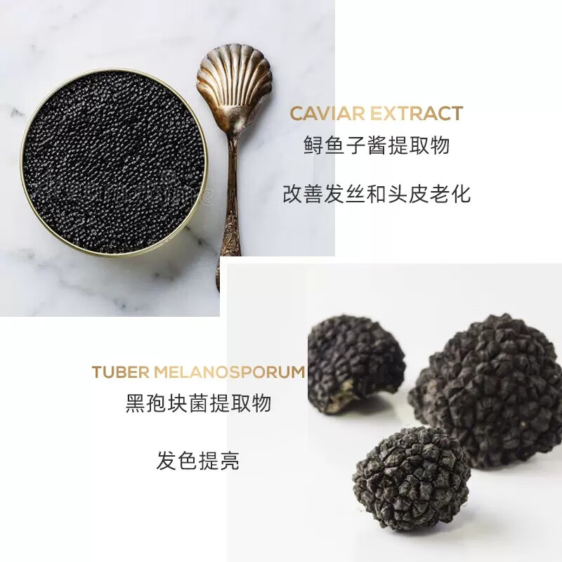 温莎森林 丝润盈亮精华洗护旅行套装 50ml*2 SF110902洗发露 +SF120902护发素高清大图