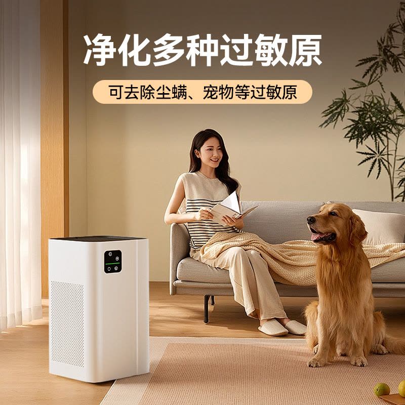空气净化器家用除甲醛去二手烟异味猫毛除臭消毒负离子净化机图片