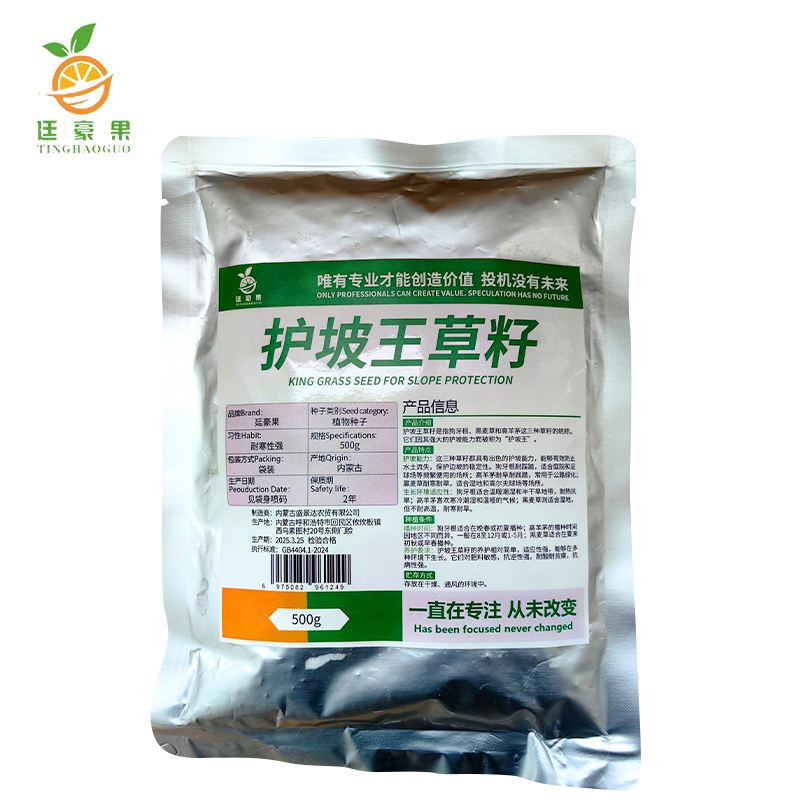 廷豪果 护坡王草籽 绿化草坪种子 500g/袋高清大图