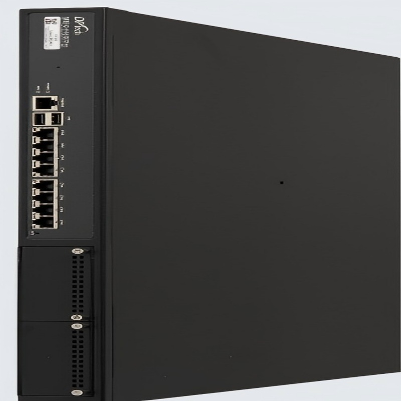 DPtech 漏洞扫描系统 Scanner1000-MA-G 台高清大图