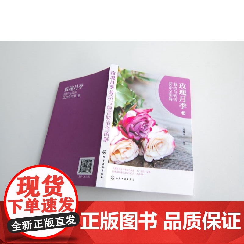 玫瑰月季栽培与病害防治全图解 形态特征与生态习性 常见栽培品种与繁殖技术 露地栽培主要技术 主要病虫害及防治 养花爱好者高清大图