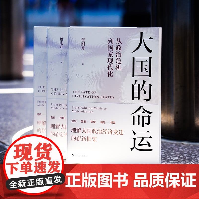 大国的命运 从政治危机到国家现代化 包刚升重磅新作 理解大国政治经济变迁的崭新框架 洞察大国政治经济变迁背后的真实逻辑图片