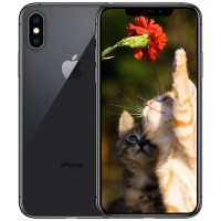 【全新正品行货】苹果(Apple) iPhone Xs 64GB 深空灰色 移动联通电信全网通4G手机 iphonexs 苹果手机