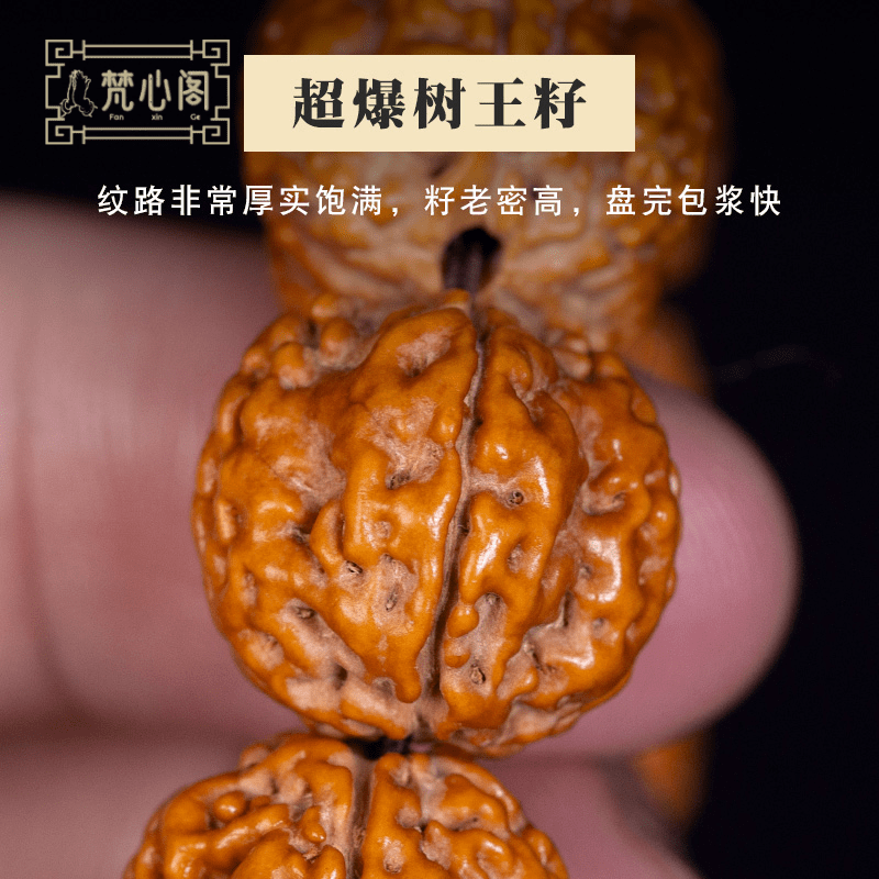 [梵心阁]蜂窝树王尼泊尔金刚菩提子手串 五瓣梅花桩爆肉双龙纹男佛珠手链