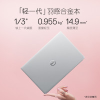 戴尔(DELL) 灵越7391-1525 13.3英寸 轻薄本窄边框笔记本电脑（i5-10210U 8GB内存 256GB固态 MX250-2G独显高色域 指纹）