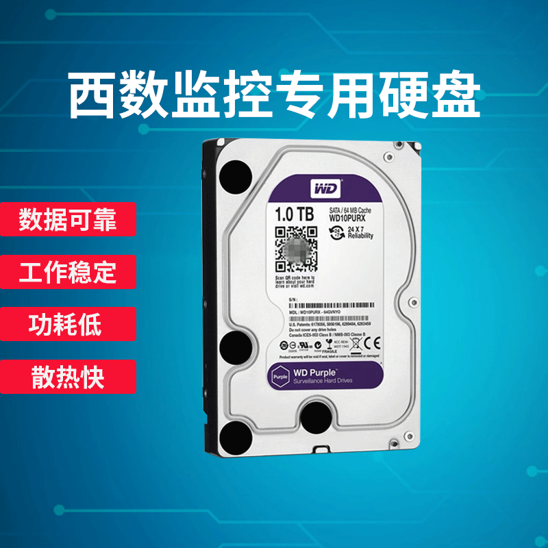 闪迪企业定制西数紫盘6T