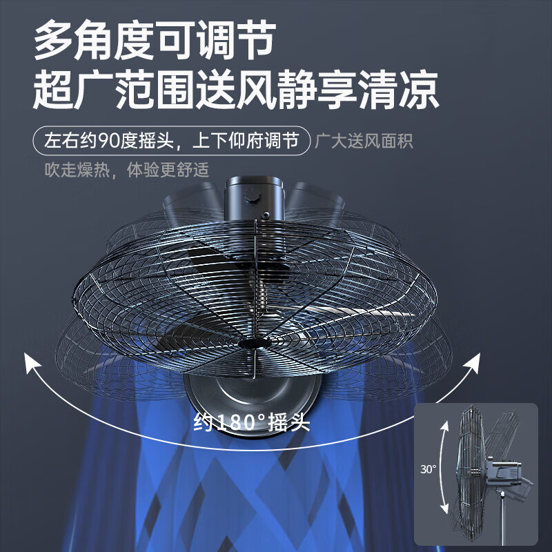 钻石牌 工业落地扇650塑叶FS65(DD牛角扇)650mm落地扇ZSN-650-GDD高清大图