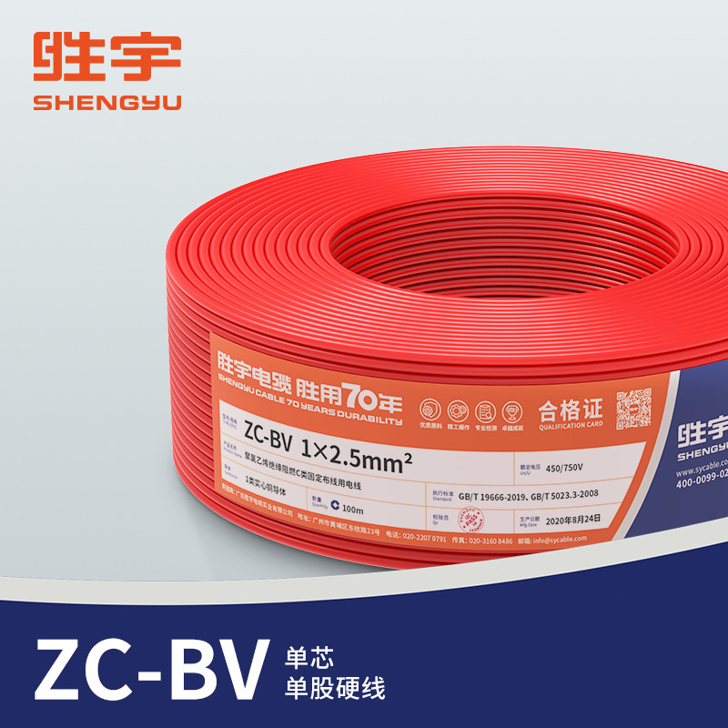胜宇 ZC-BV国标单芯单股线家装硬线 1平方-红色-100米