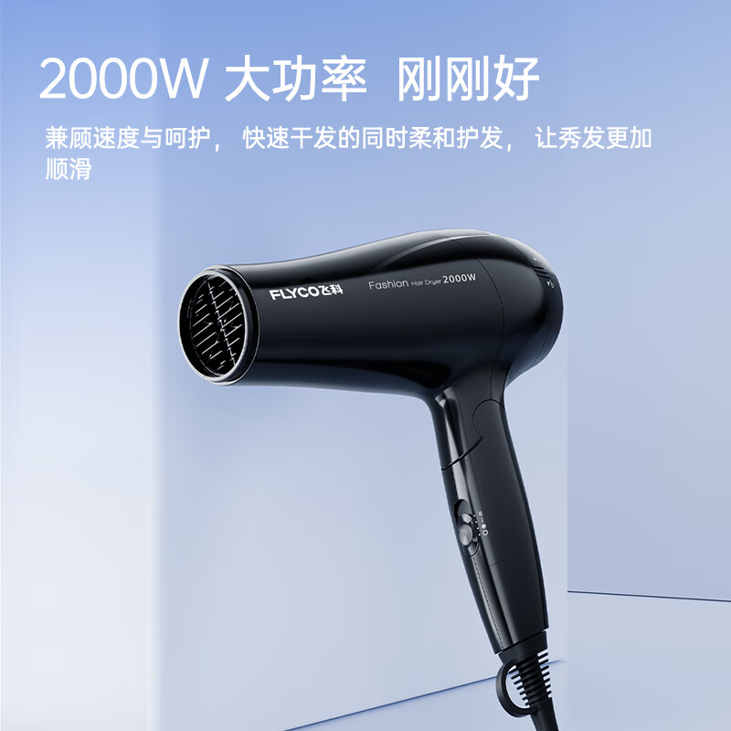 飞科FLYCO个性旋风干发器FH6231 负离子静音双速设计时尚便携电吹风高清大图