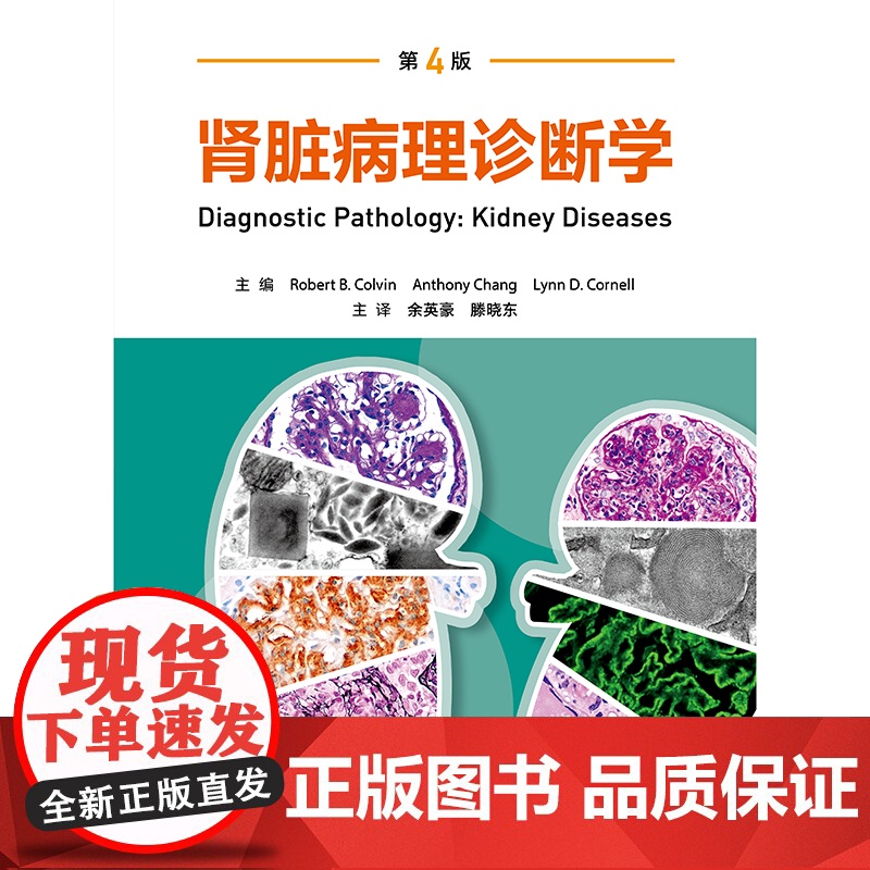 肾脏病理诊断学 第4版翻译版 余英豪 滕晓东 译 人民卫生出版社9787117374088高清大图