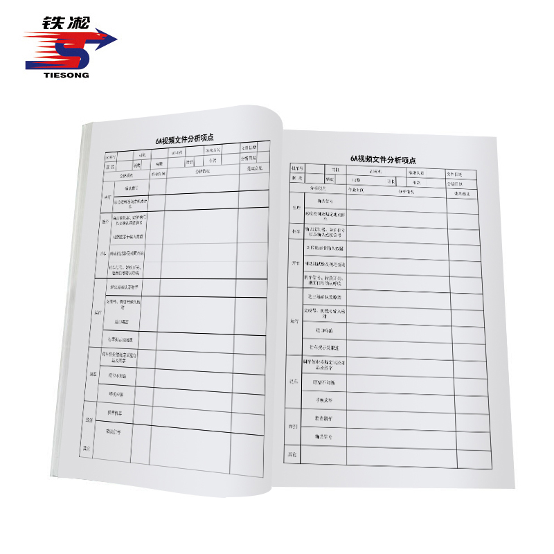 铁凇 6A视频文件分析记录簿 A4 15张 册高清大图