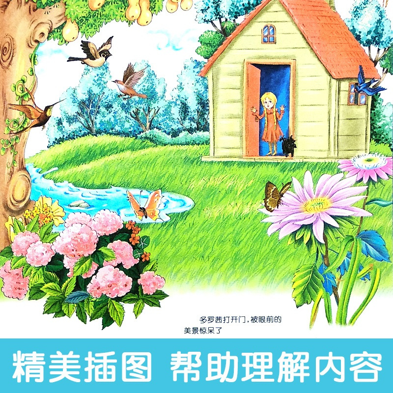 绿野仙踪正版书 二年级三年级必读课外书注音版6-7-8岁 儿童文学小学生阅读书籍少儿读物绘本故事书 适合二三年级孩子阅读