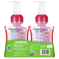 Dettol滴露泡沫抑菌洗手液汪汪队樱桃芬芳250ml*2双瓶装5秒除菌儿童组合装