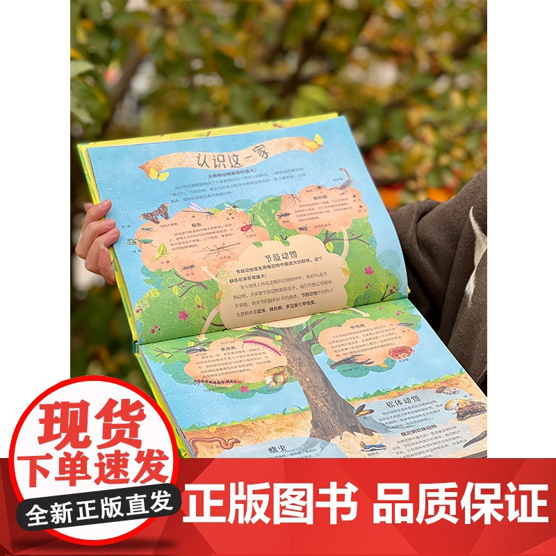 dk儿童百科全书精彩的虫百科大全书科学动物百科昆虫漫画书籍0-3--4-6岁儿童幼儿爱读的书籍绘本书里藏着好多虫博物动物高清大图